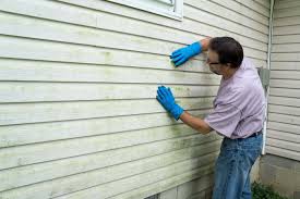 Best Siding Removal and Disposal  in Williamstown, WV